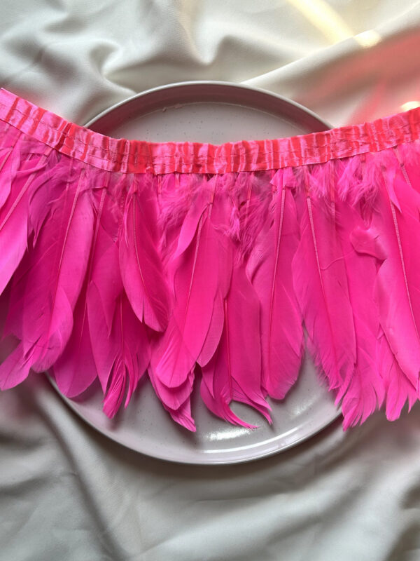 LuxeEdge-Feather-Ribbon-for-Premium-Projects