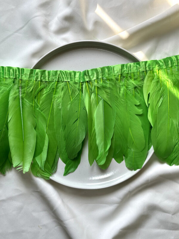 LuxeEdge-Feather-Ribbon-for-Premium-Projects