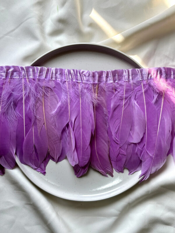 LuxeEdge-Feather-Ribbon-for-Premium-Projects