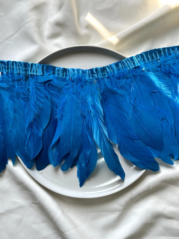 LuxeEdge-Feather-Ribbon-for-Premium-Projects