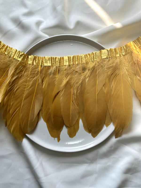 LuxeEdge-Feather-Ribbon-for-Premium-Projects