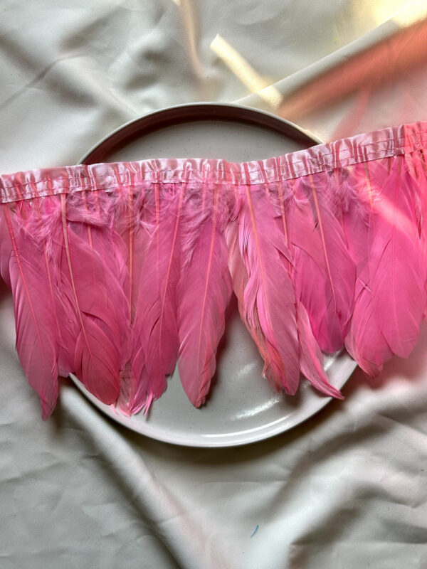 LuxeEdge-Feather-Ribbon-for-Premium-Projects