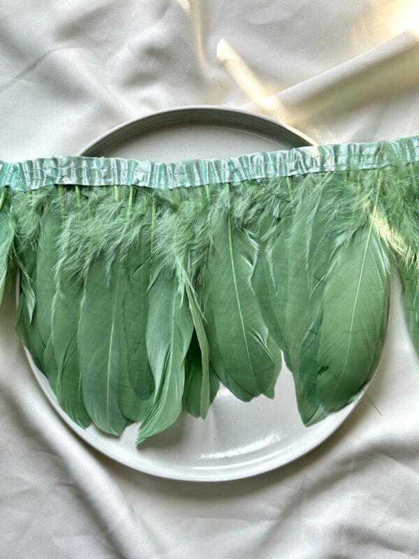 LuxeEdge-Feather-Ribbon-for-Premium-Projects