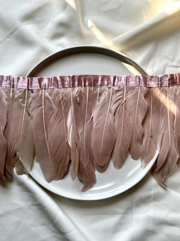 LuxeEdge-Feather-Ribbon-for-Premium-Projects