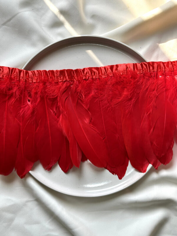 LuxeEdge-Feather-Ribbon-for-Premium-Projects