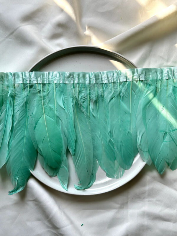 LuxeEdge-Feather-Ribbon-for-Premium-Projects