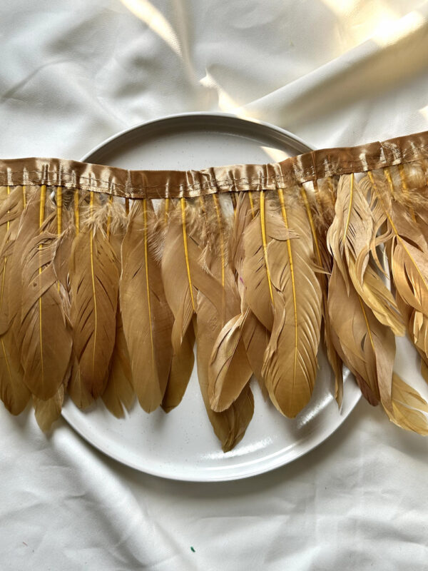 LuxeEdge-Feather-Ribbon-for-Premium-Projects