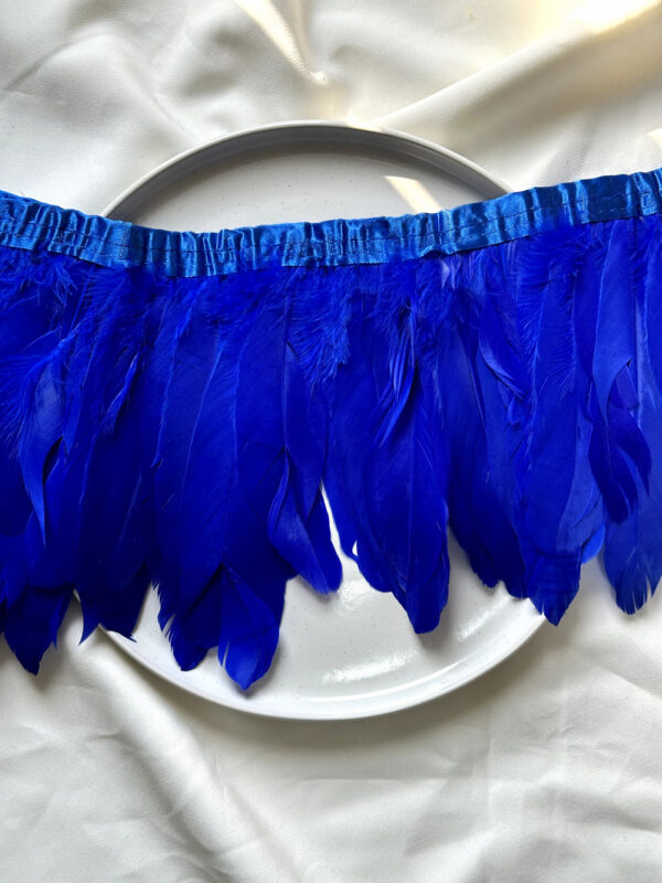 LuxeEdge-Feather-Ribbon-for-Premium-Projects