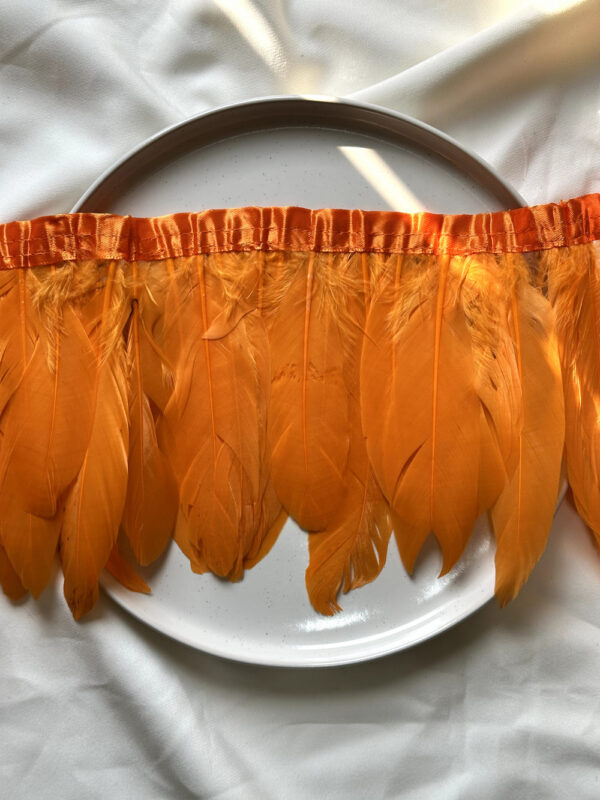 LuxeEdge-Feather-Ribbon-for-Premium-Projects