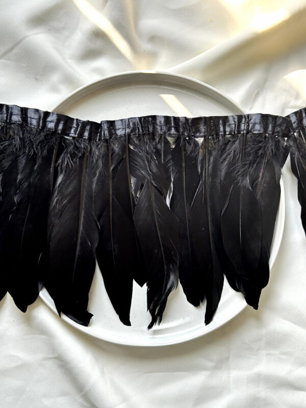 LuxeEdge-Feather-Ribbon-for-Premium-Projects