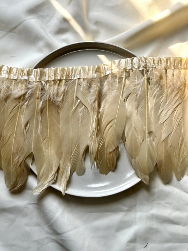 LuxeEdge-Feather-Ribbon-for-Premium-Projects