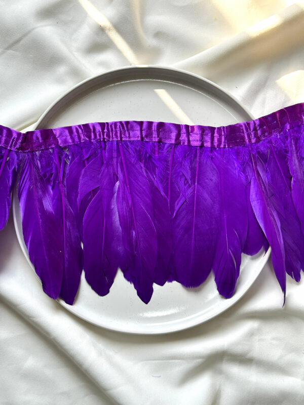 LuxeEdge-Feather-Ribbon-for-Premium-Projects