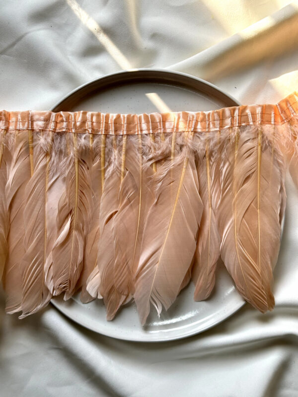 LuxeEdge-Feather-Ribbon-for-Premium-Projects