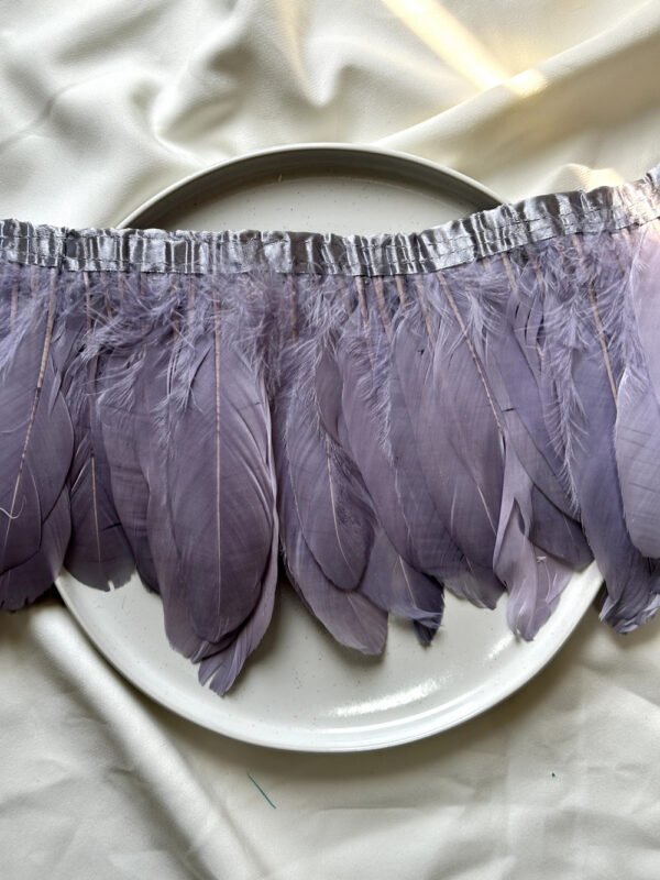 LuxeEdge-Feather-Ribbon-for-Premium-Projects