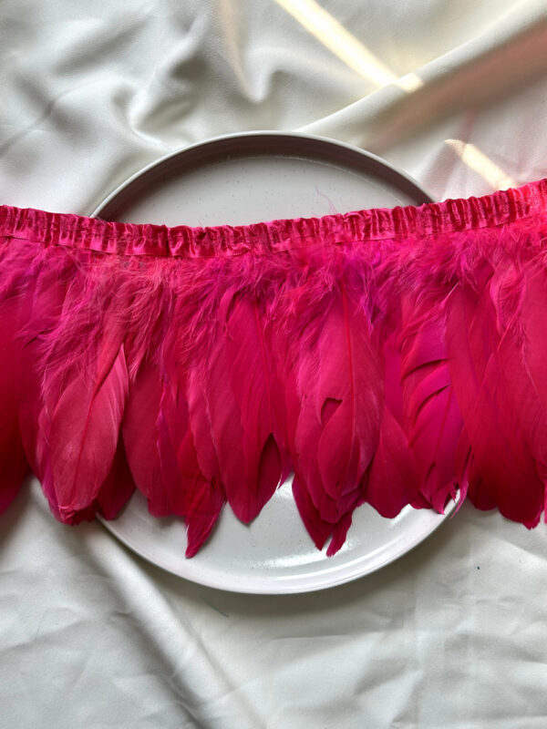 LuxeEdge-Feather-Ribbon-for-Premium-Projects