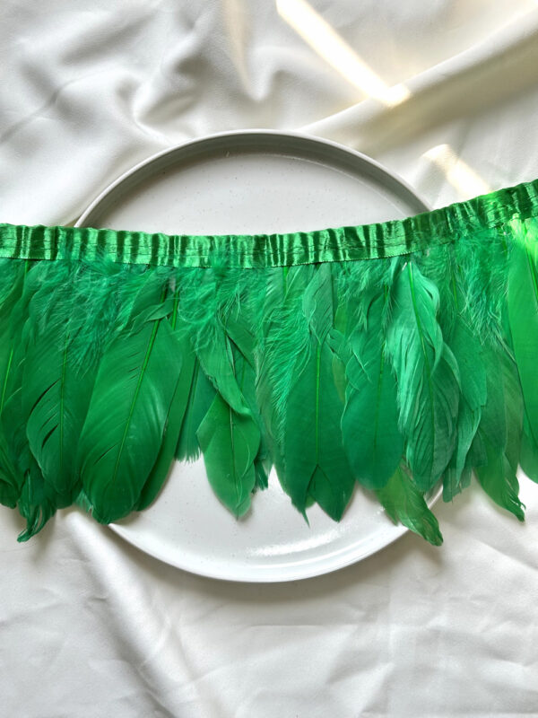 LuxeEdge-Feather-Ribbon-for-Premium-Projects