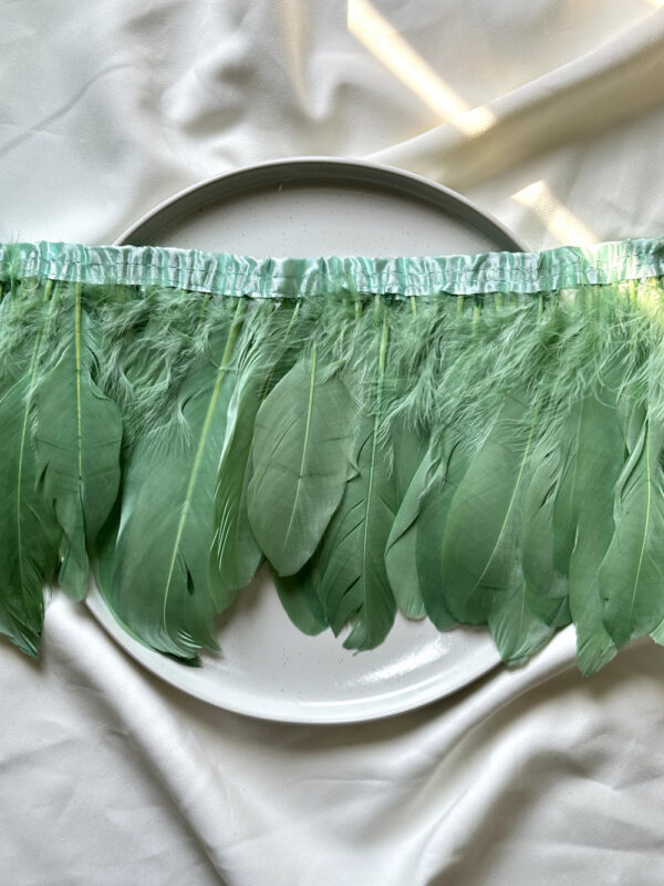 LuxeEdge-Feather-Ribbon-for-Premium-Projects