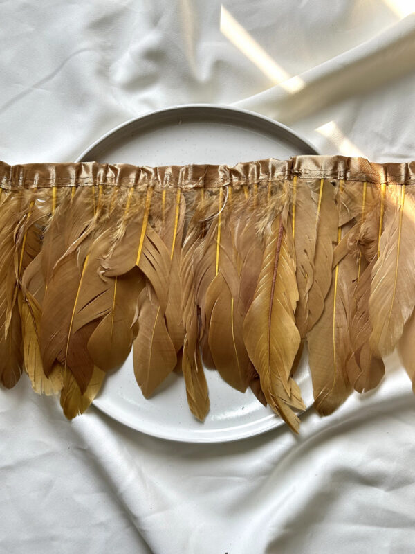 LuxeEdge-Feather-Ribbon-for-Premium-Projects