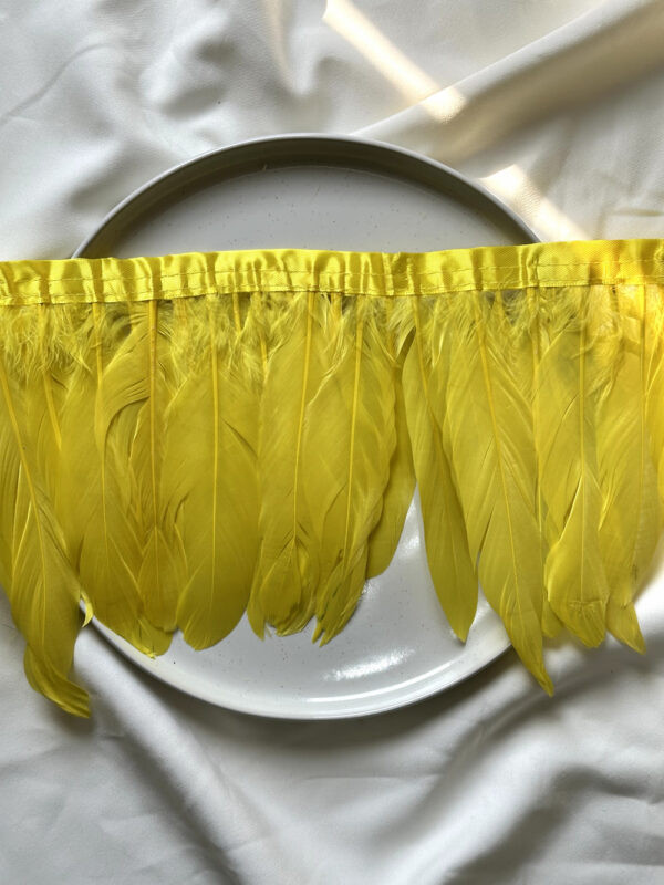 LuxeEdge-Feather-Ribbon-for-Premium-Projects